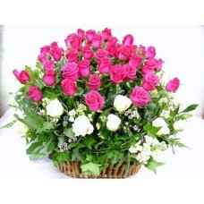 States Offer Master States Offer Master