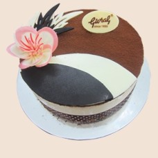 Tiramisu Ice Cream Cake Pas