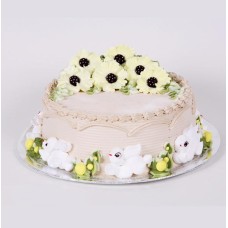 Gsn-003 Birthday Cake