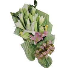 Flower White Lyly