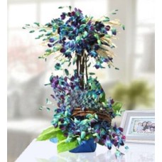 Blue Blooms