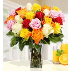 Mixed Roses (20 stems of Mixed Colour Roses)