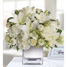 Loves Embrace Roses - White (Large)