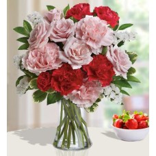 Pinkness (Medium)