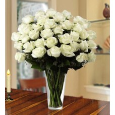 Innocent White (40 White Roses)