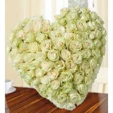 Heartfelt Roses (60 White Roses)