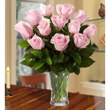 Graceful Pink (12 Pink Roses)