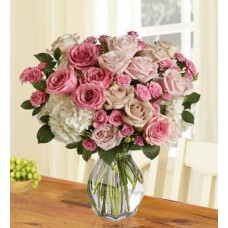 Lady Love (Large) Lady Love (Large)