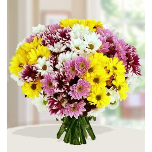 Mourning Bouquet (24 Yellow , 24 Pink ,24 White Chrysanthemums)