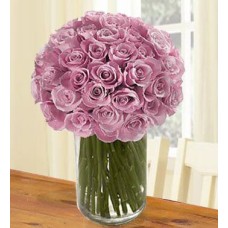 Lovely And Luxurious (40 Purple Roses)