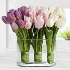 Tulips In A Vase (Classic)