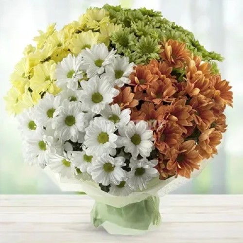 Amazing Daisies (Classic)