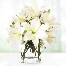 Classic White (Classic)