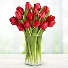 Tulips Love 20 (Premium)