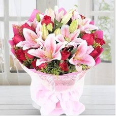 Posh Pinks (Classic)