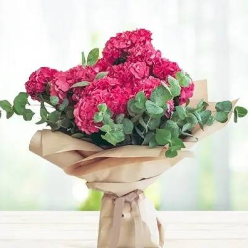 Pink Hydrangea Love (Classic)