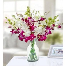 Exotic Orchids (Classic)