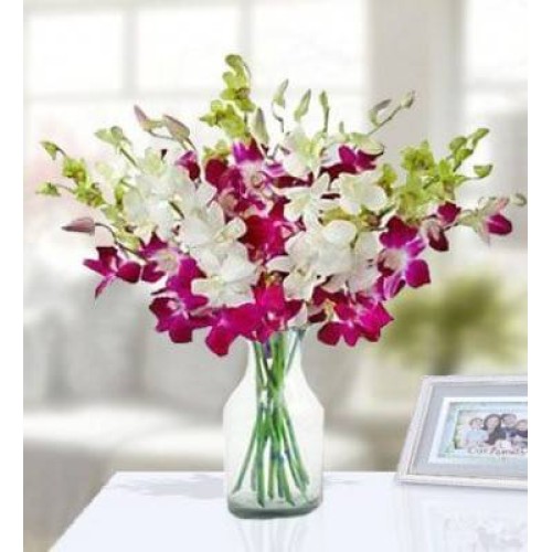 Exotic Orchids (Classic)