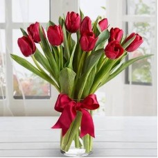 Blush Red (Classic)