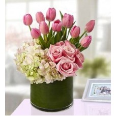 Beautiful Pink (Classic)