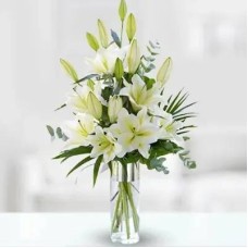 Stunning White (Classic)