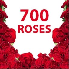 700 Red Roses (Classic)