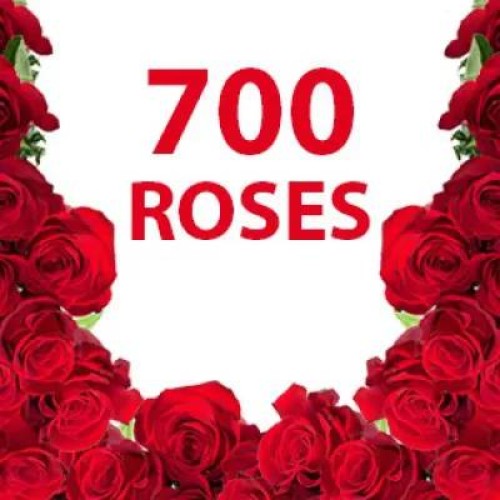 700 Red Roses (Classic)