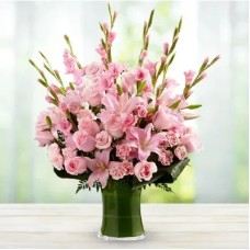 Pink Pink Beauty (Classic)