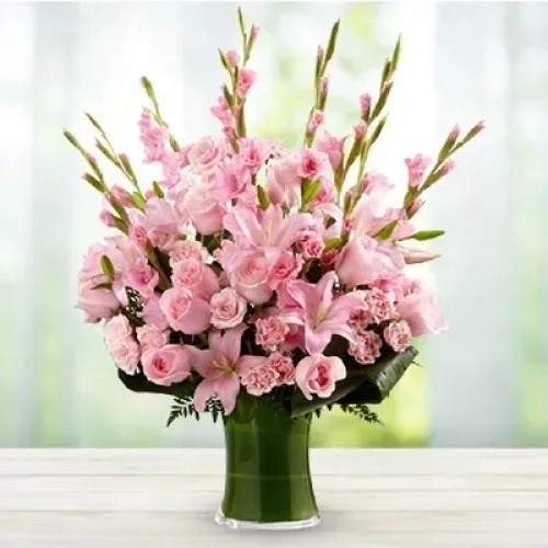 Pink Pink Beauty (Classic)