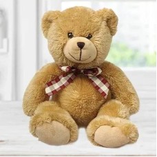 24 Inch Teddy Bear