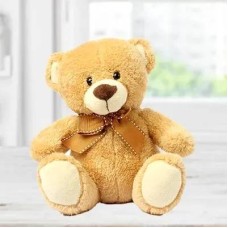 Small Teddy Bear