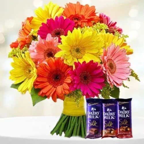 Gerbera And Chocolate (Classic)