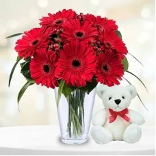 Red Gerberas Bouquet With Teddy (Double The Quantity)