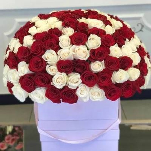 Red & White Roses In Box (Classic)