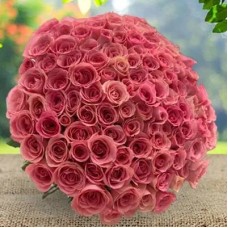 Pink Roses Bouquet (Classic)