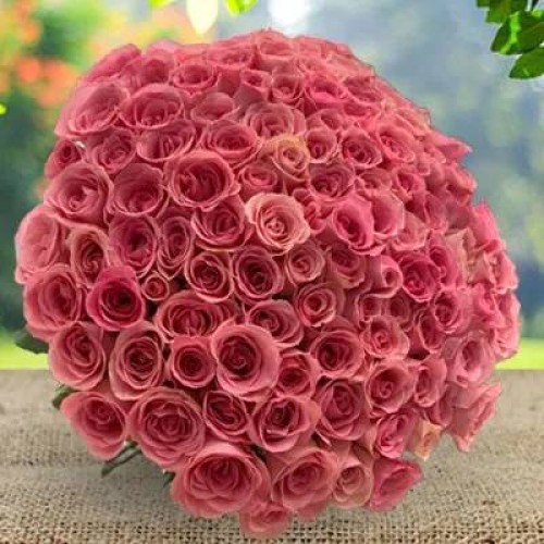 Pink Roses Bouquet (Classic)