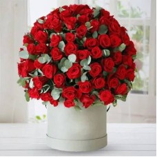 Red Roses In A Box (Classic)