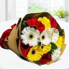 Mixed Gerberas (Bunch of 12 Mixed Gerberas along with greens in Nice wrapping)