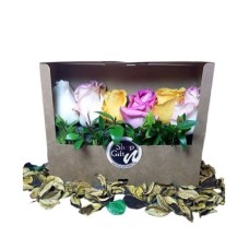 Roses Garden