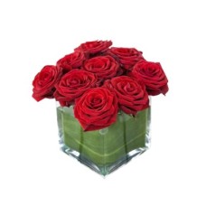 9 Roses For You