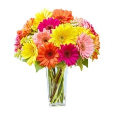 Gerbera Bouquet