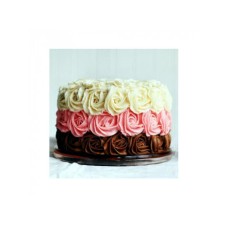 Cake C19