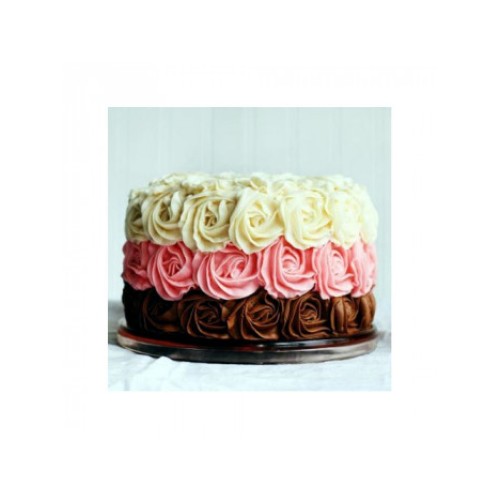 Cake C19
