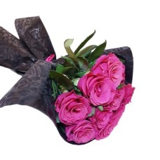 Fushia and Black
