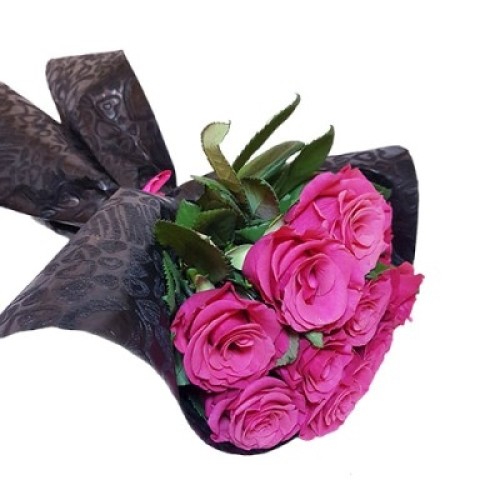 Fushia and Black
