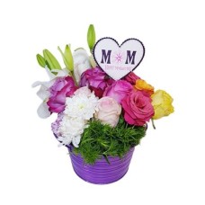 Pot Flowers