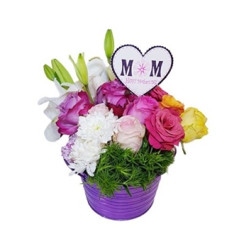 Pot Flowers