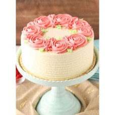 Cake C20