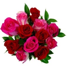 Rouge et Rose