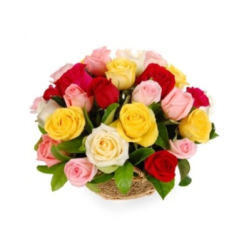 Colors Arrangement